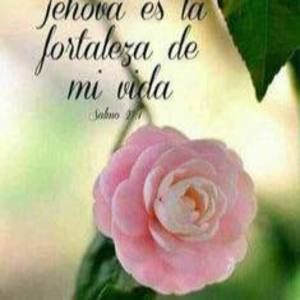 Meet your Posher, Dora maria